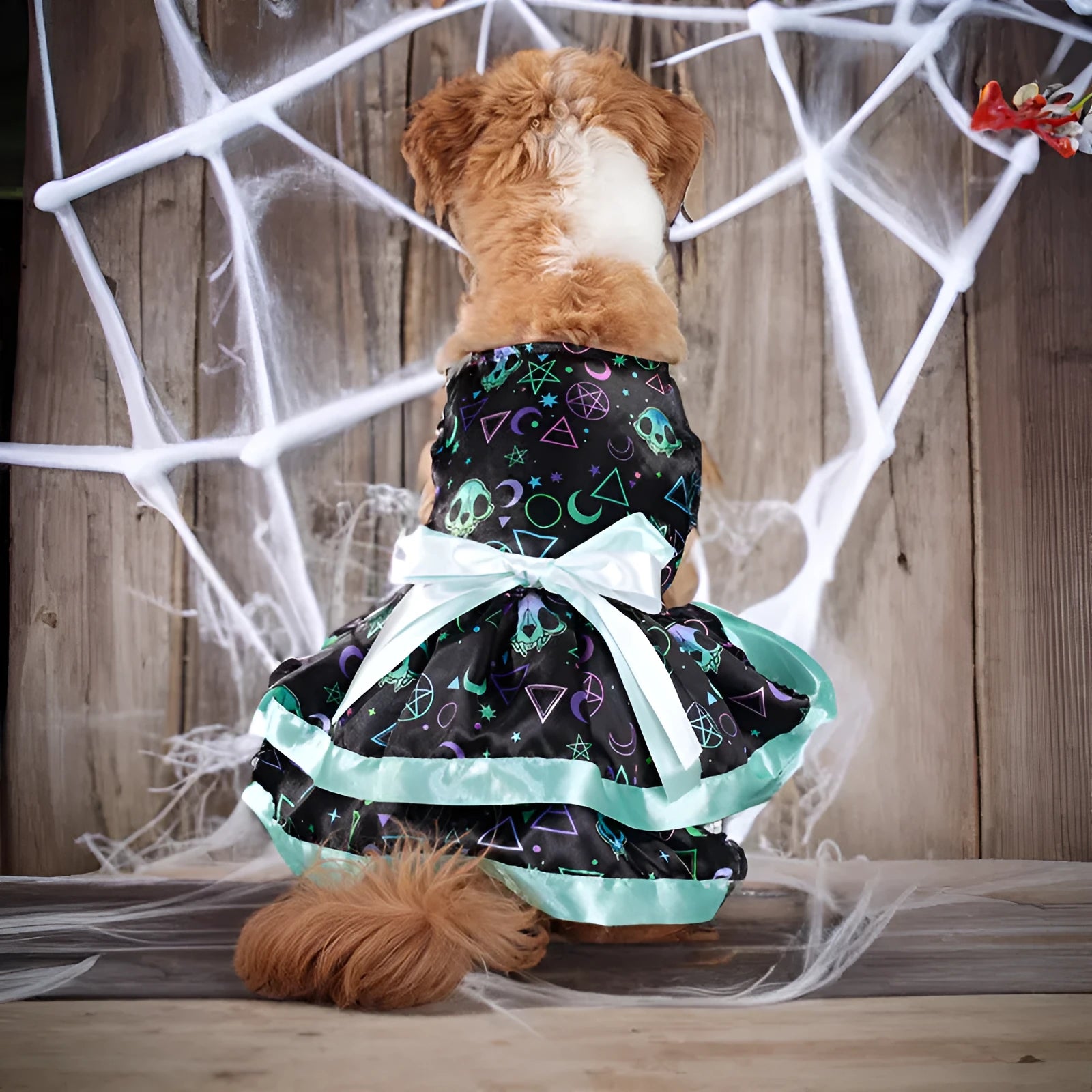 Halloween dog skirt with colourful pumpkin design in size medium