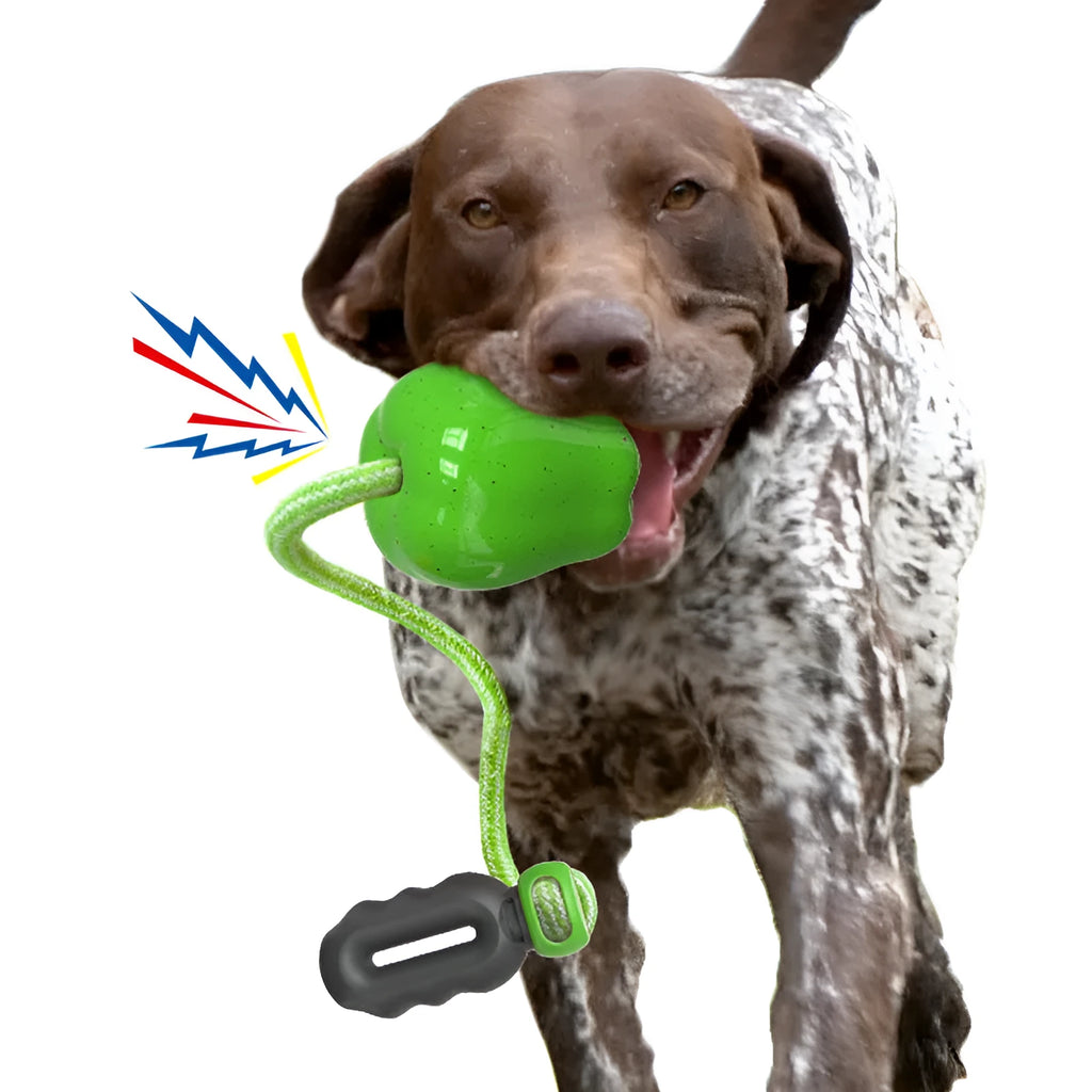 Green plastic dog molar toy with hollow food-dropping design for interactive feeding