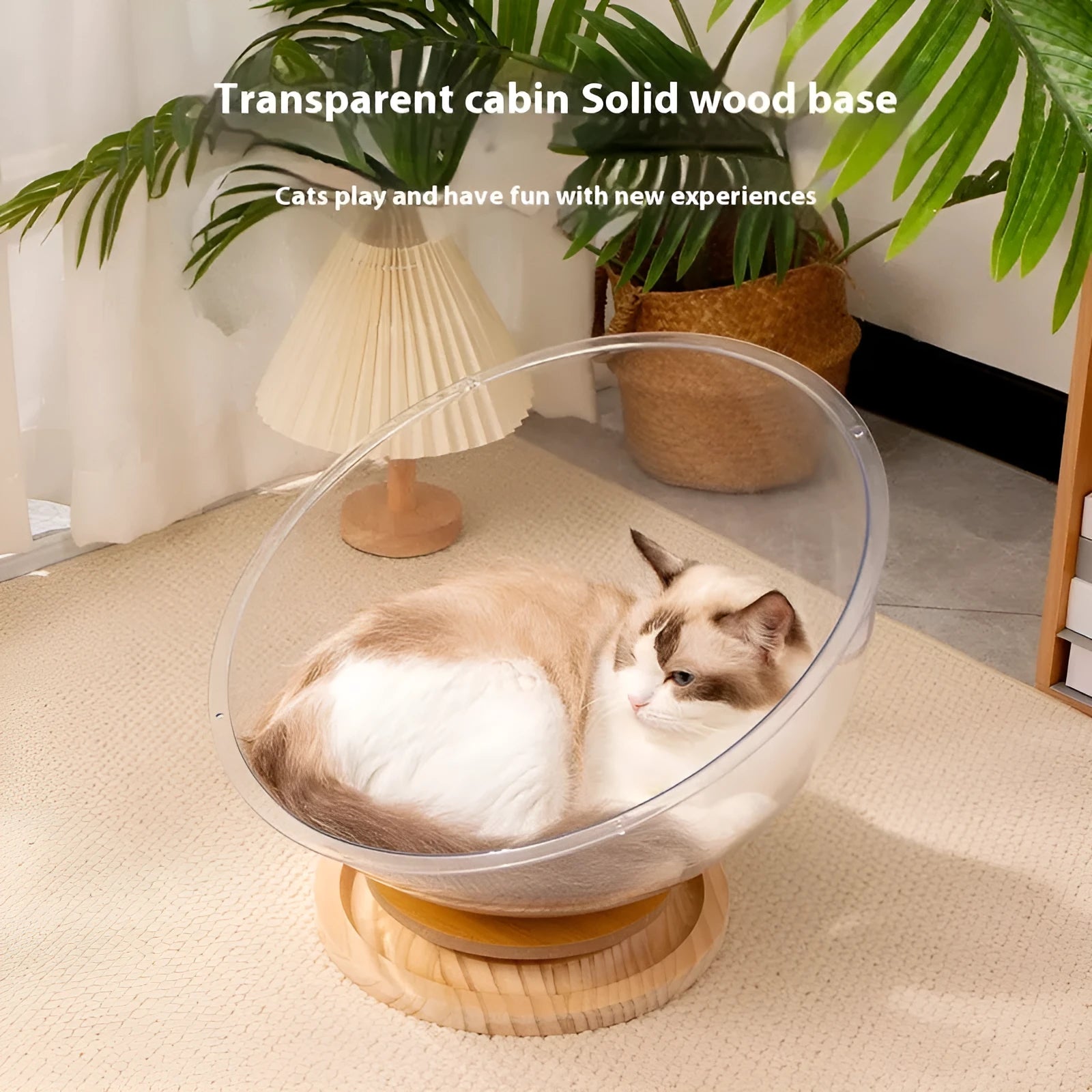 Transparent acrylic cat space capsule bathtub bed with turntable base in multiple size options