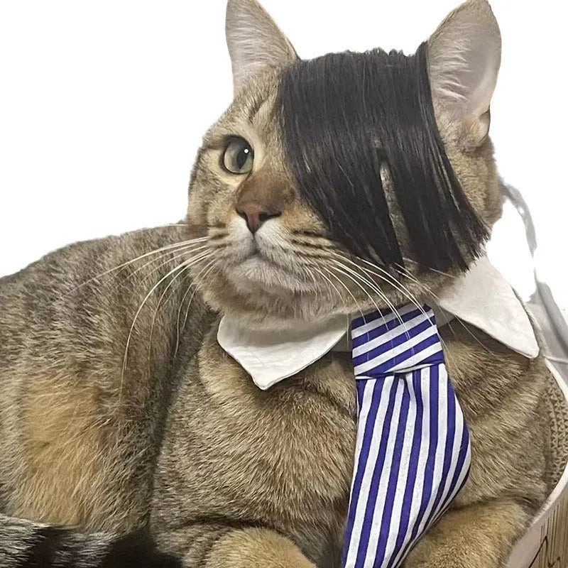 Black polyester cat wig with imitation braid fox tail design on feline model