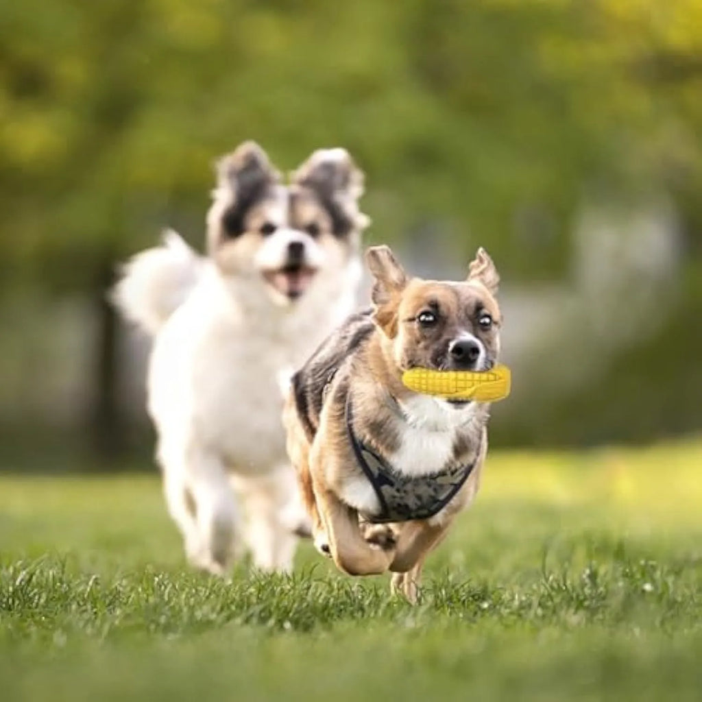Blue and yellow corn-shaped dog chew toy for aggressive chewers with surface texture grooves