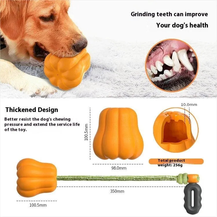 Pumpkin coloured plastic dog chew toy with an attached rope for tugging and fetching.