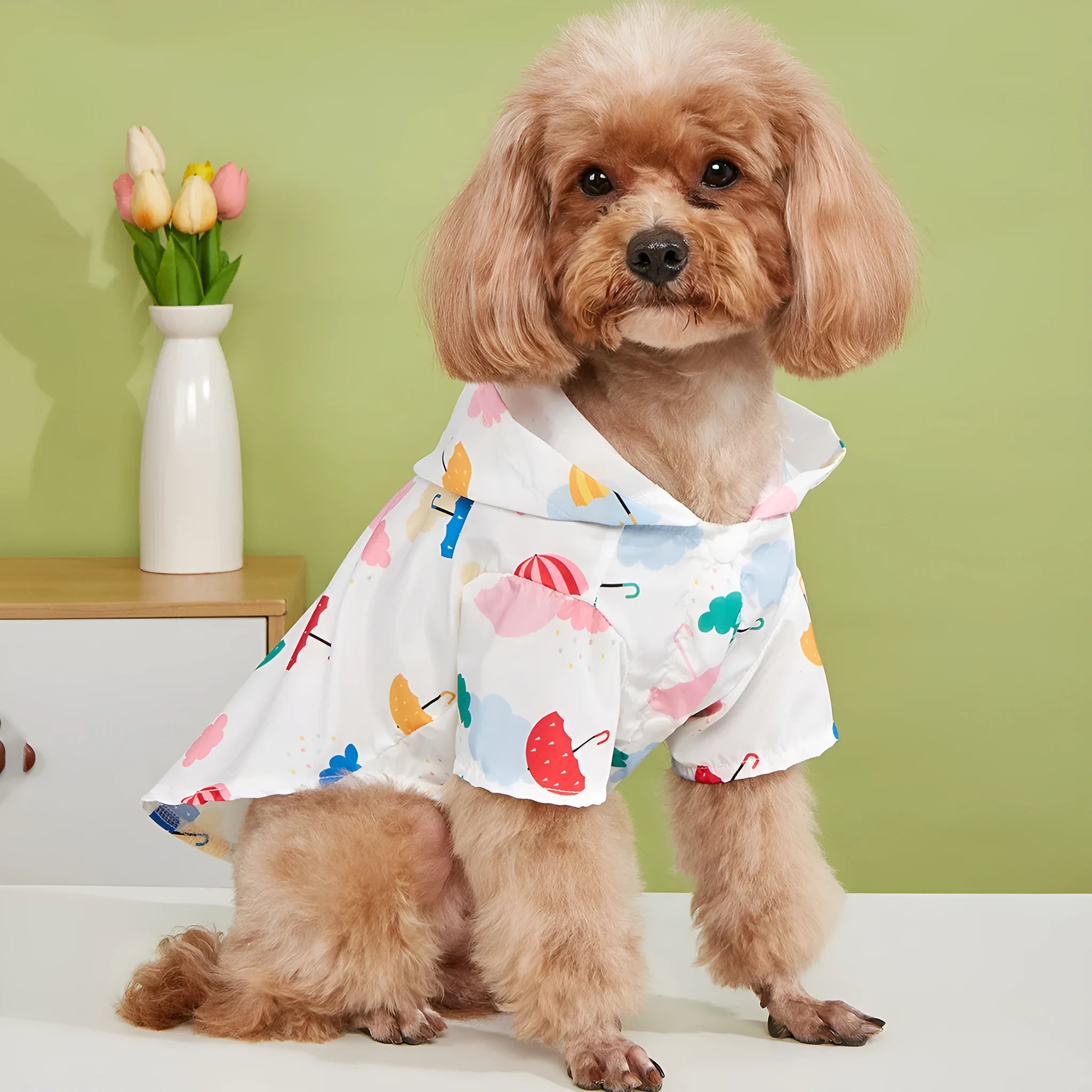 Colourful cartoon umbrella pattern dog raincoat in polyester available in sizes XS to XL