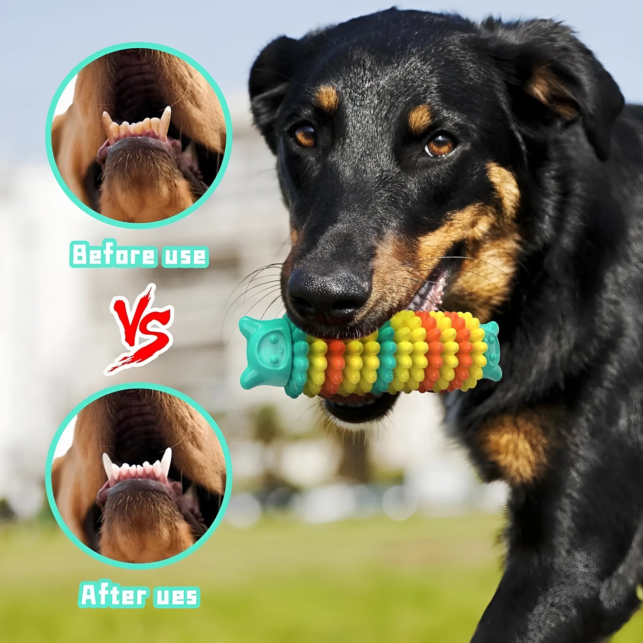 Blue caterpillar-shaped rubber dog chew toy for aggressive chewers on wooden floor