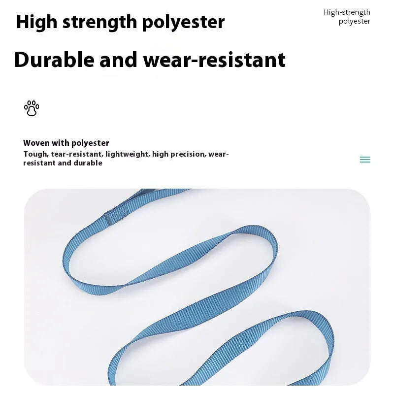 Solid colour polyester dog lead held in a hand, showing one of eleven colour options and its single rope construction.