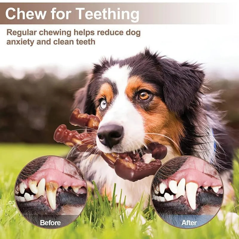 Scarlet beef-flavoured nylon dog molar chew toy for small to medium breeds