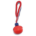 Blue rubber dog ball with rope attachment measuring 29cm long for small breed dogs