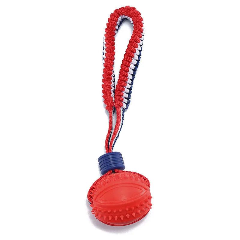 Blue rubber dog ball with rope attachment measuring 29cm long for small breed dogs
