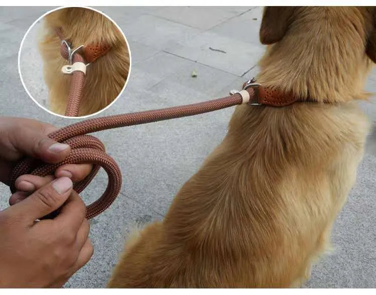 Brown nylon dog leash with hand holding rope, length 2.1 metres