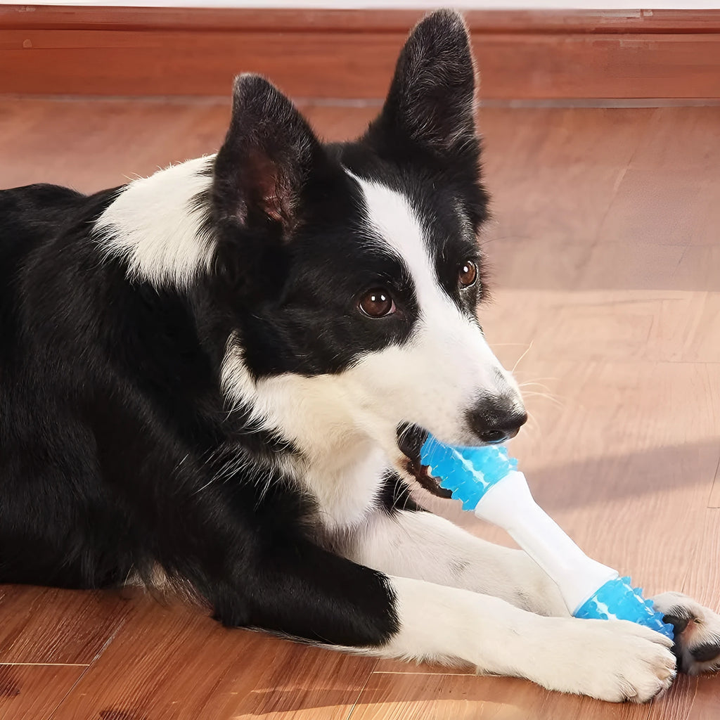 Dual-colour puppy teething chew toy in three sizes for dogs aged 2 to 8 months