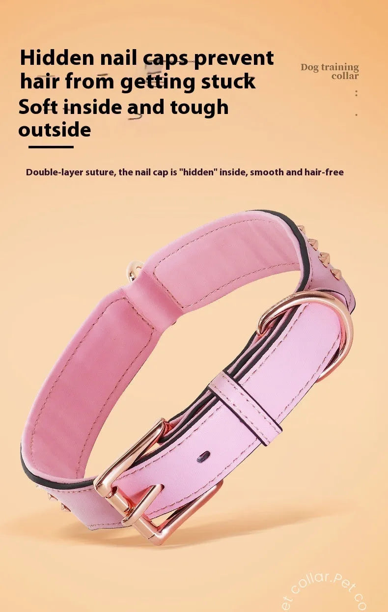 Leather dog collar with anti-bite rivets in chocolate colour showing adjustable buckle and rivet details