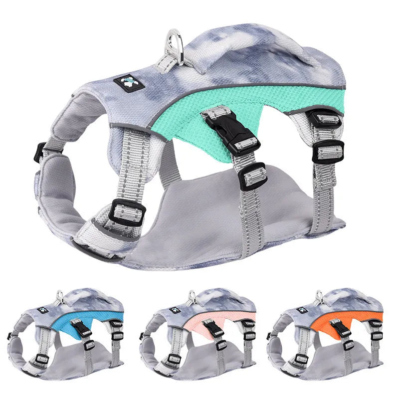 Reflective light blue polyester dog harness with chest strap on a small dog.