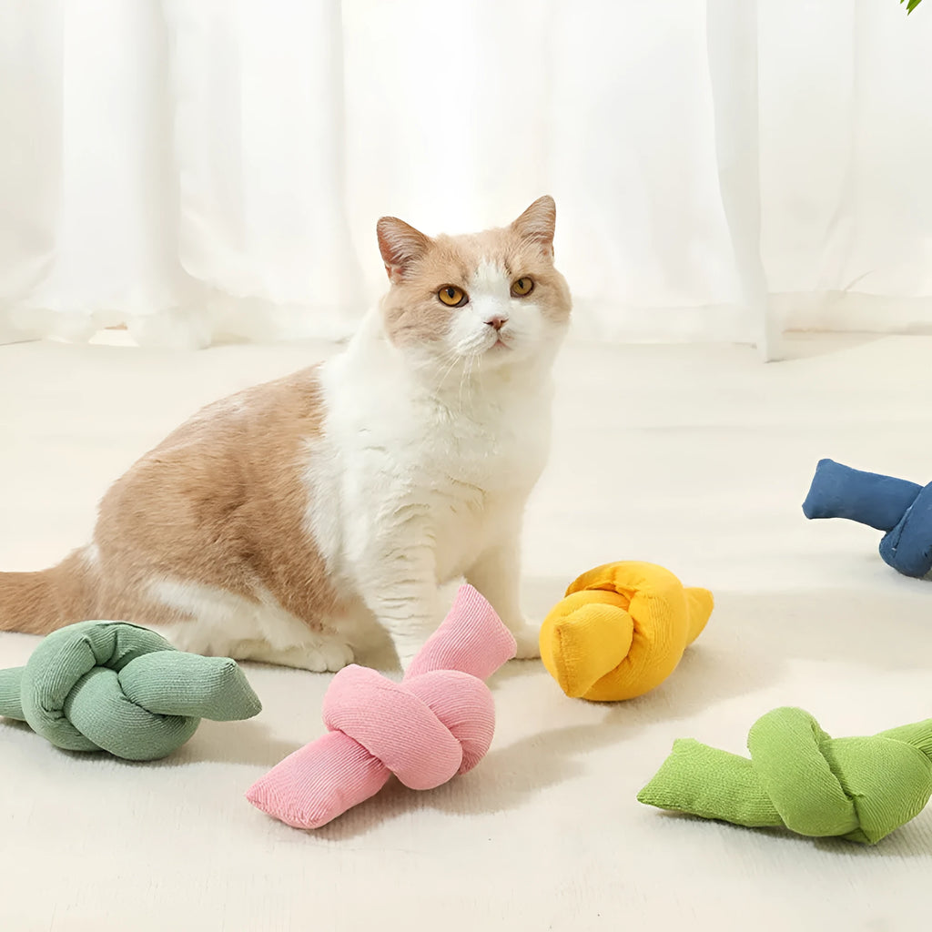 White cotton knotted dog rope toy for interactive tug games and dental chewing