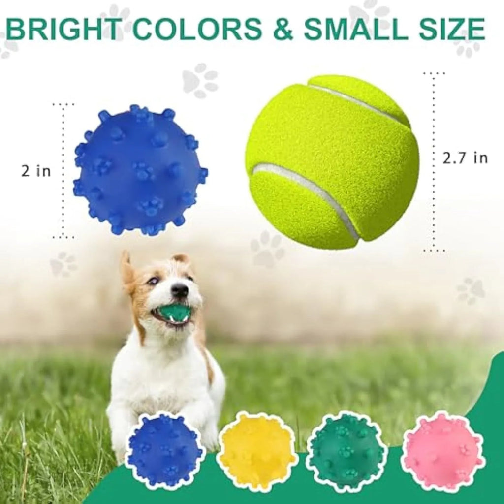 Bright coloured spiked squeaky balls for small dogs on grass