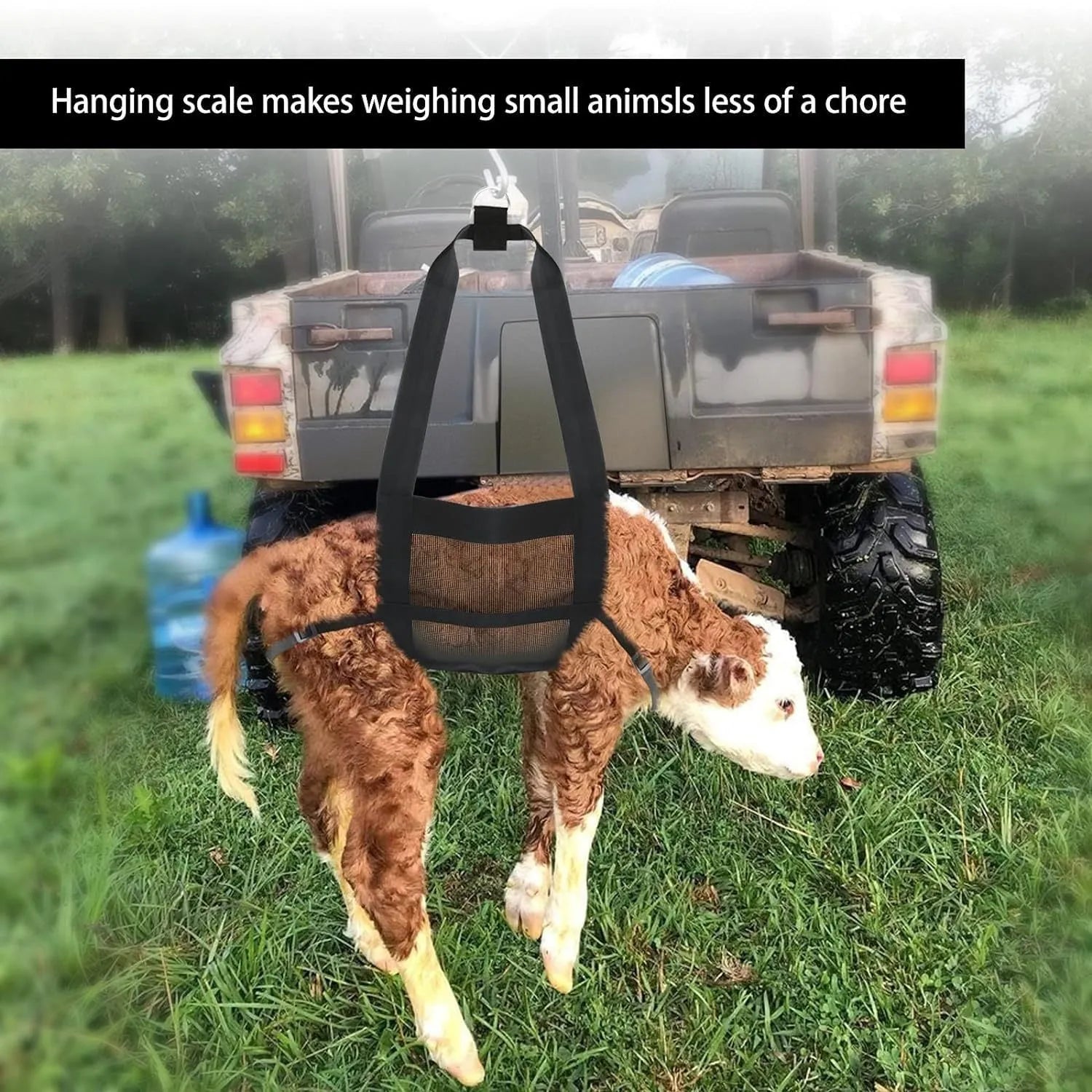 Black woven polyester calf large dog weighing sling measuring 35 by 150 centimetres.