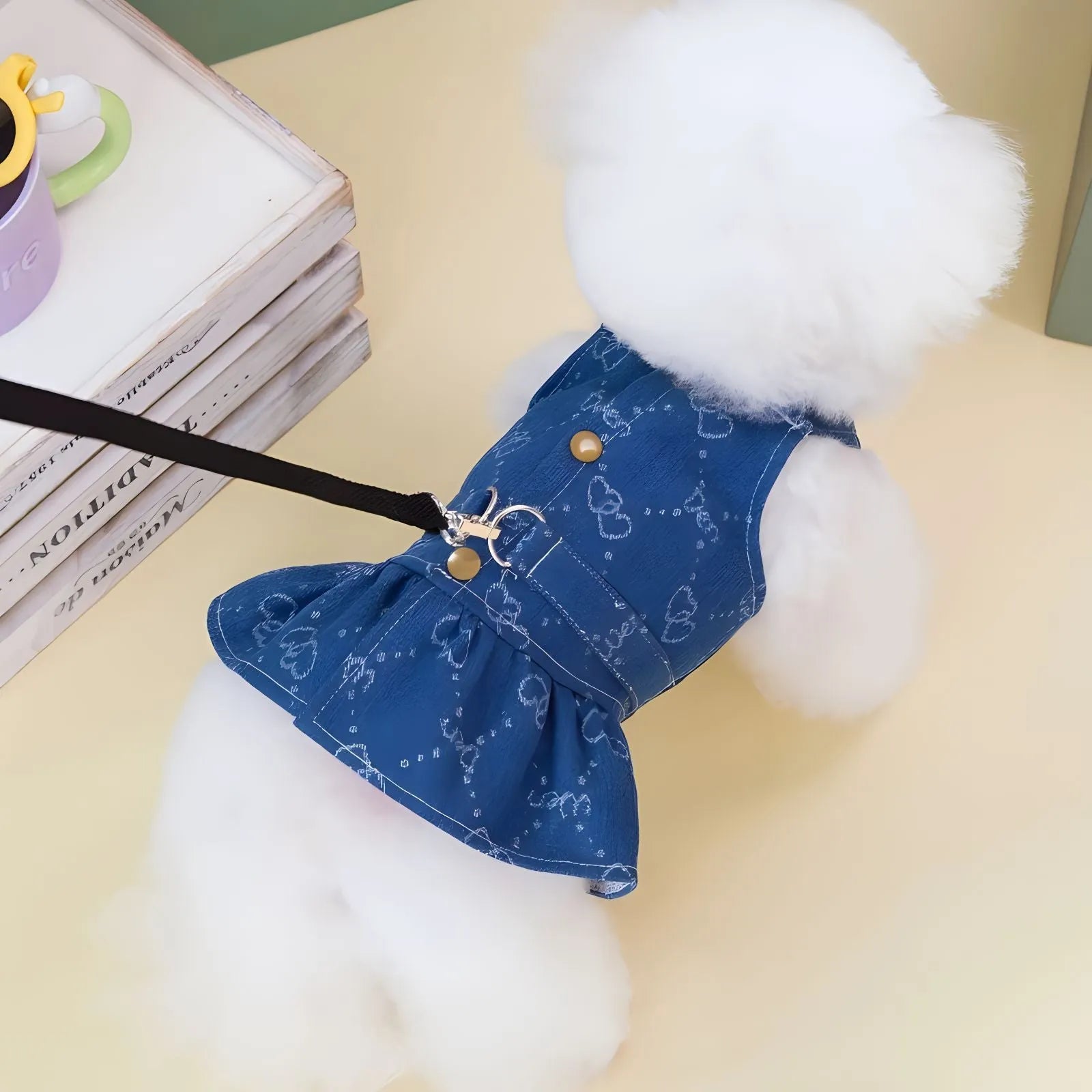 Small dog wearing a denim Princess dress in a bracket-skirt style.
