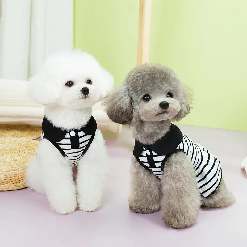 Small dog wearing striped cotton T-shirt and matching skirt summer pet outfit