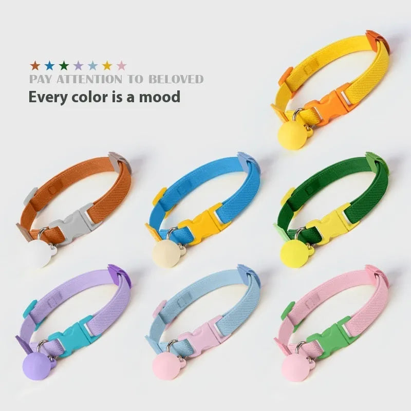 Small dog elastic polyester collar in solid colours with 22-32 cm length range