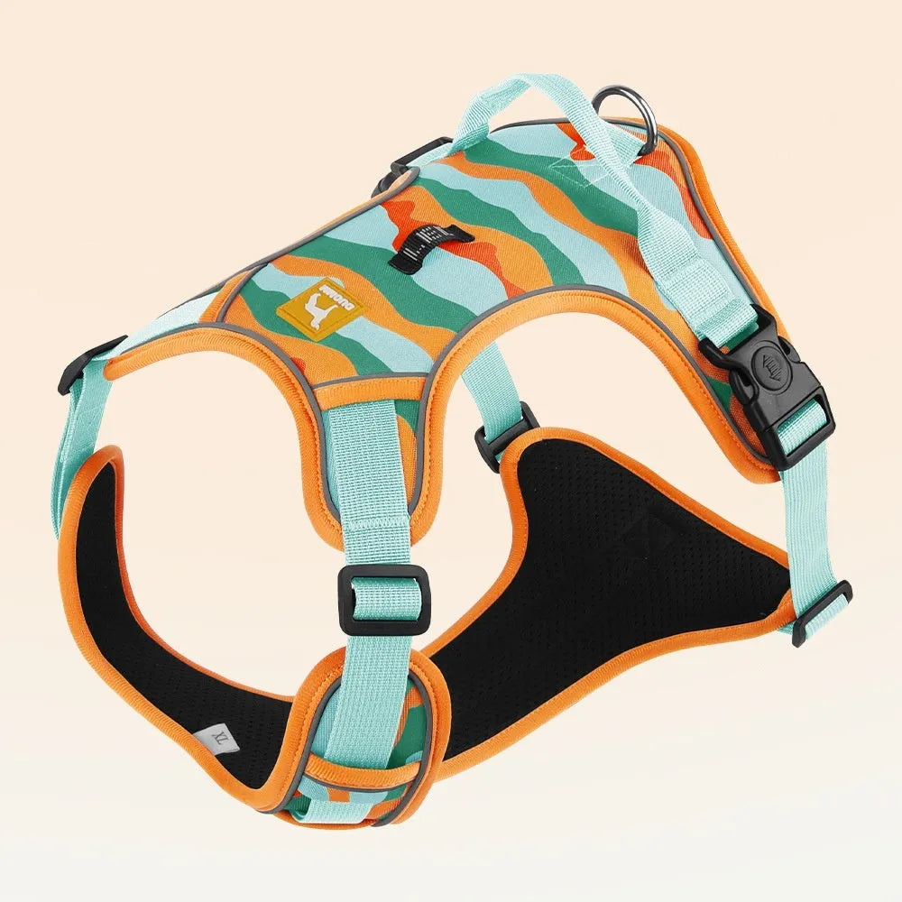 Orange oxford cloth dog walking rope with reflective strips and a handle, fitted on a dog's chest and back.
