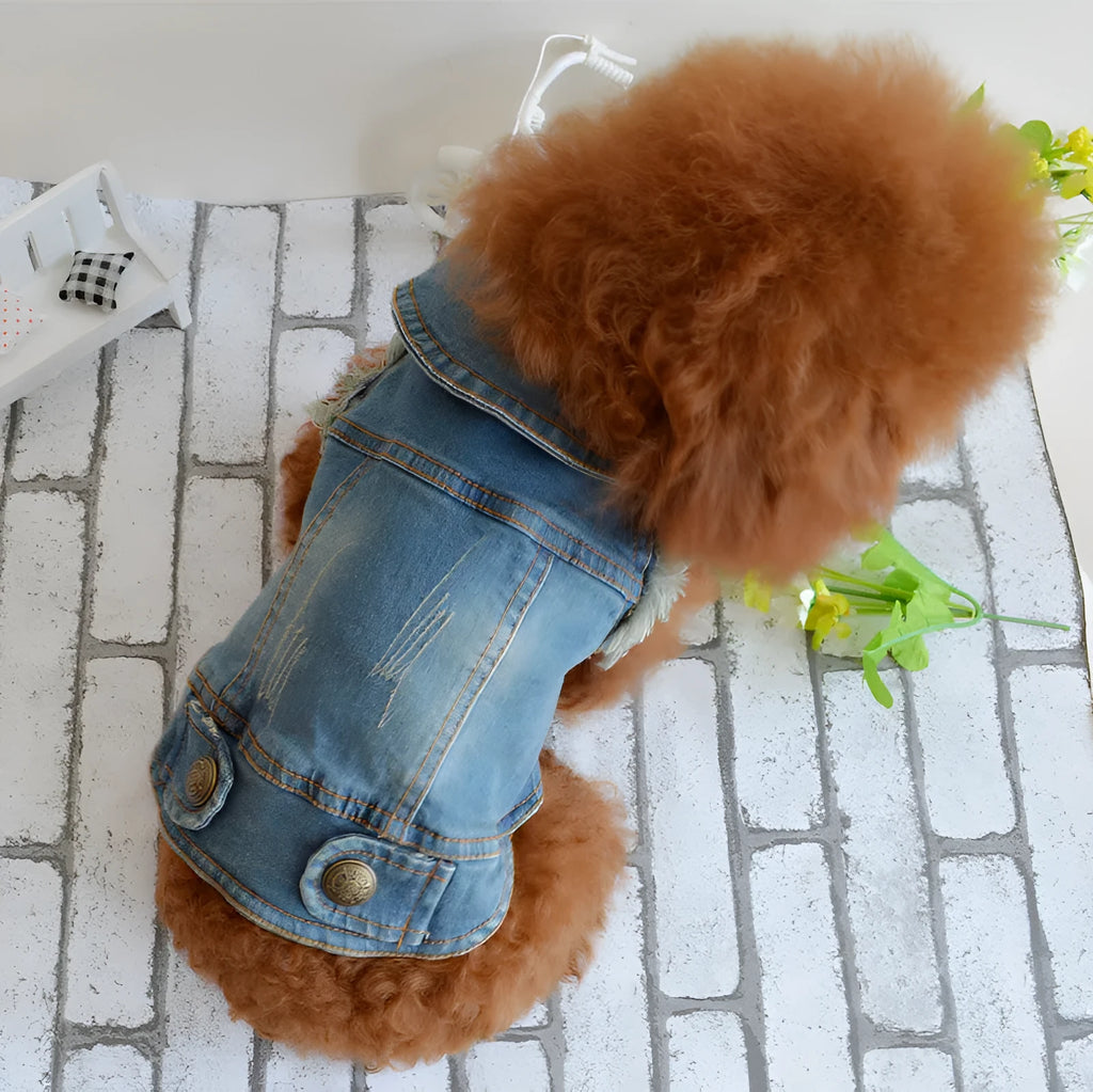 Denim dog vest with retro scratch pattern in dark wash for small breed wear