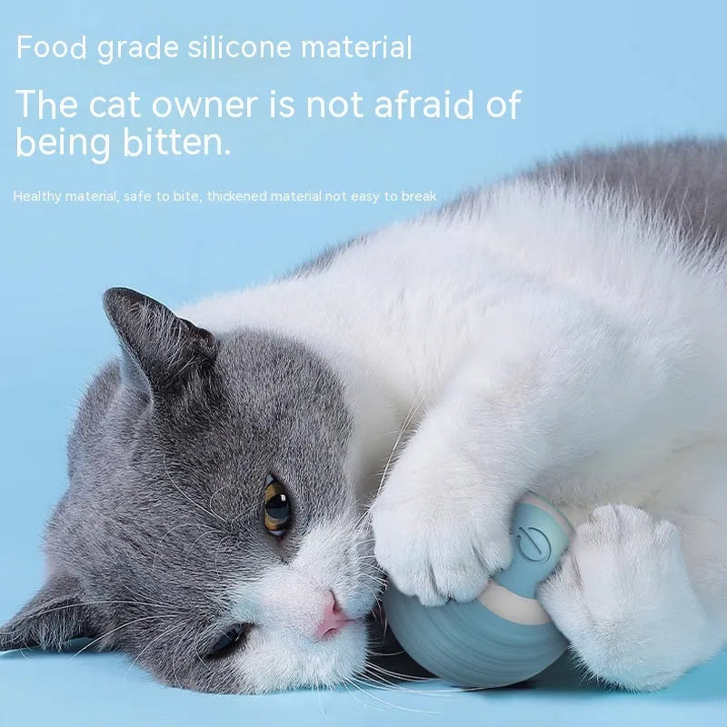 Blue automatic moving cat toy ball with silicone texture on floor