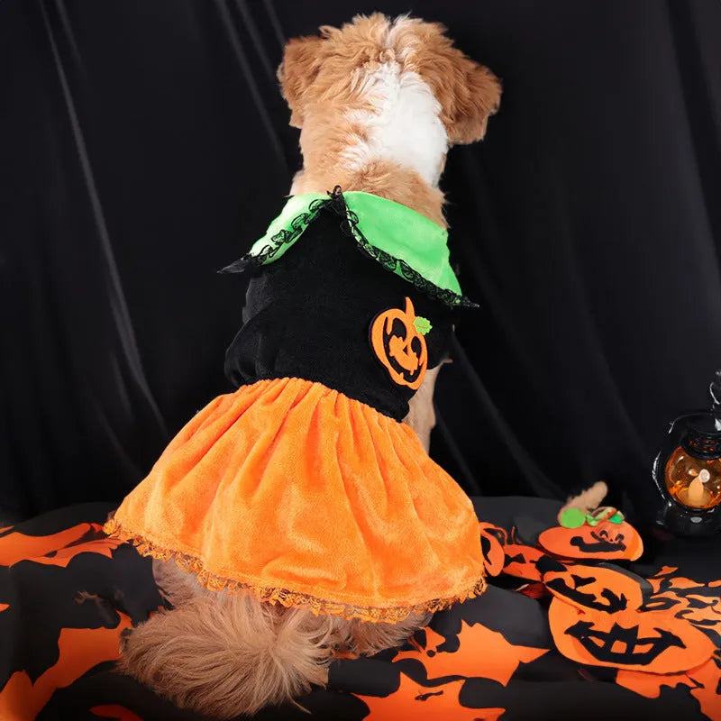 Crystal velvet pet Halloween costume in pumpkin skirt and sweater styles for small dogs and cats