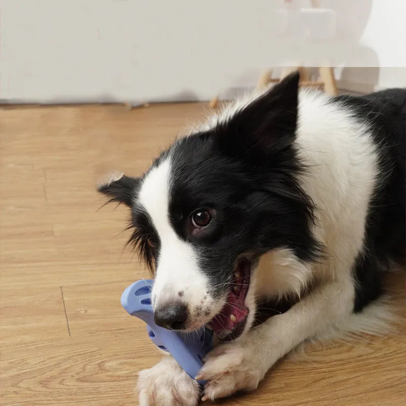 Blue boomerang-shaped rubber dog toy for medium and large breeds on a white background