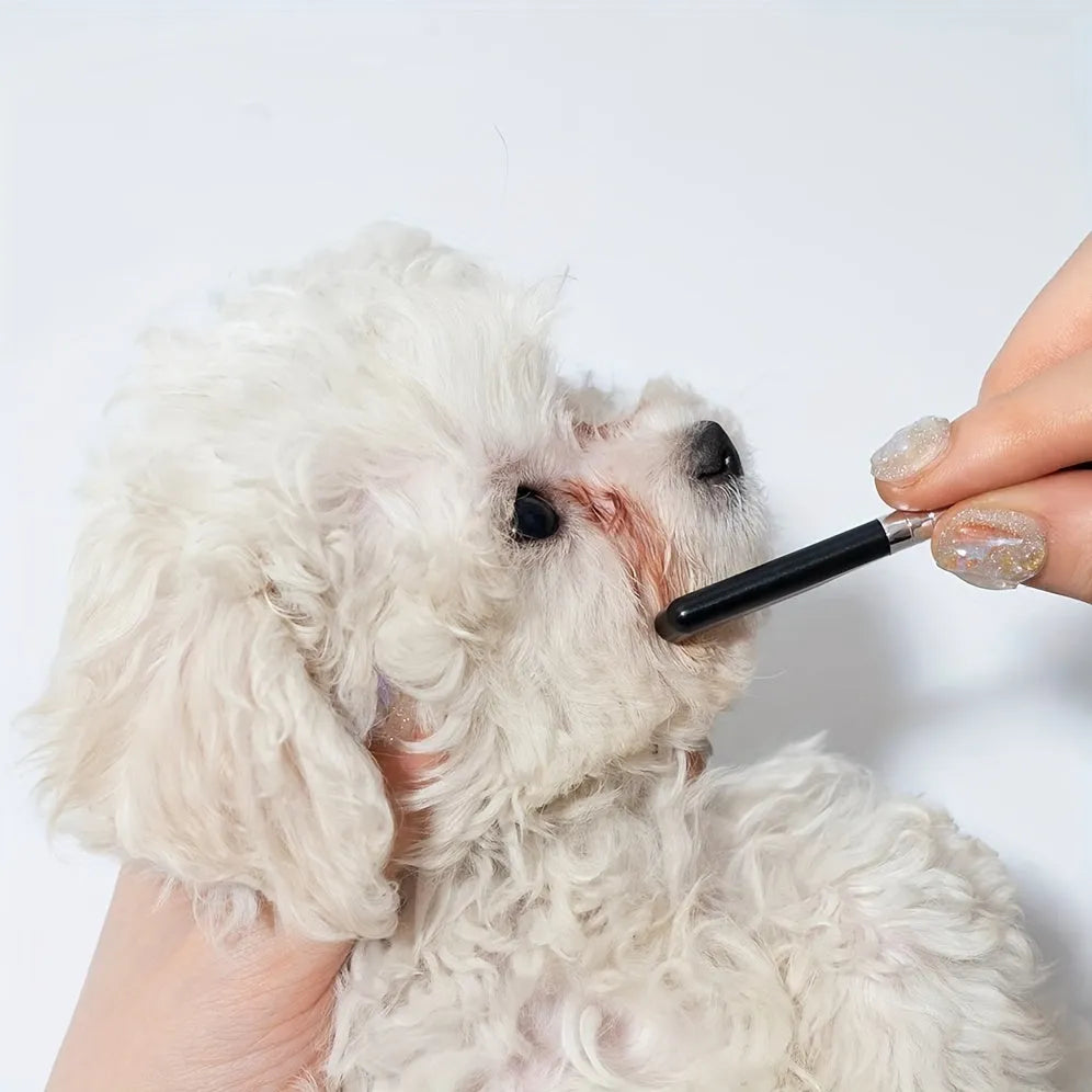Black ambidextrous pet grooming brush with soft bristles and a fine-tooth comb for dogs and cats.