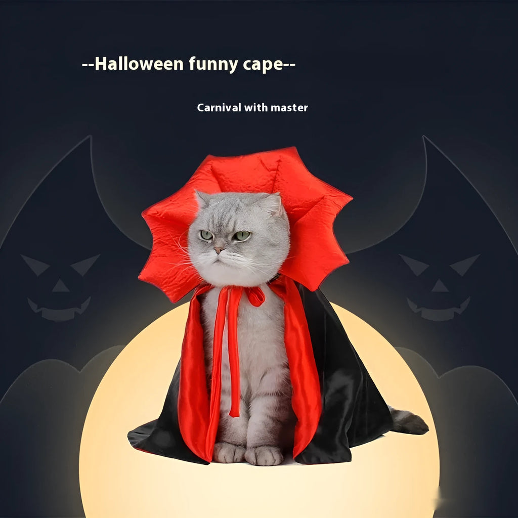 Black and red Halloween costume for a cat or dog on a hanger