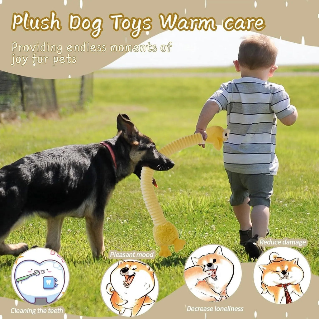 Plush squeaky dog toy with crinkle sounds in brown, grey or yellow colours for interactive pet play