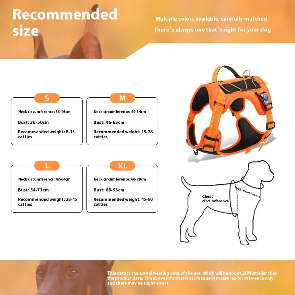 Orange reflective dog harness with explosion-proof hand holding rope on a medium-sized dog.