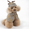 Camel-coloured cotton cloak with adjustable hat for a dog or cat, showing the cloak's style and fit.