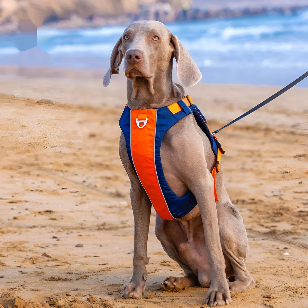 Dog chest strap harness with hand rope in vest style design available in orange blue or yellow brown colours