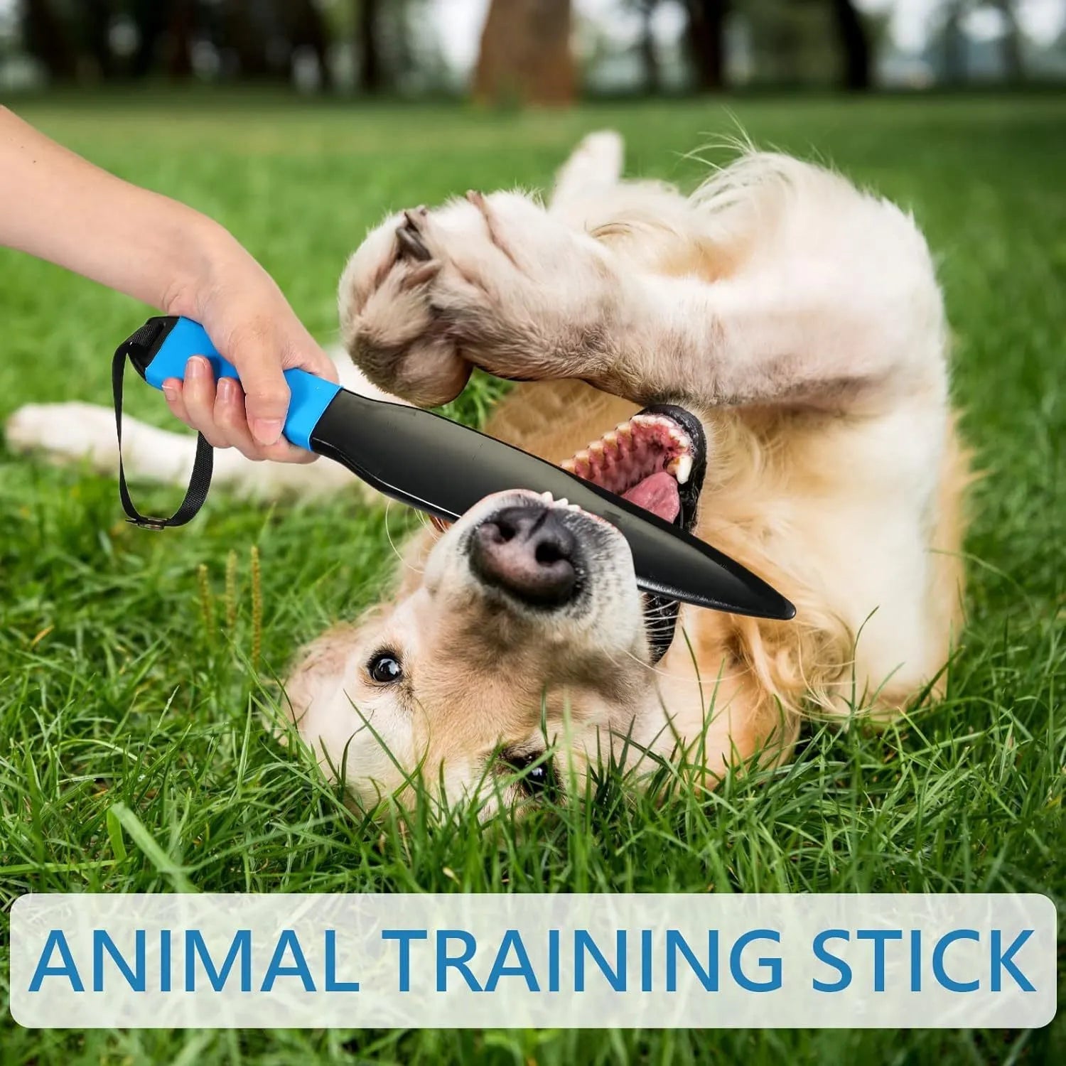 Blue handled nylon dog break stick training tool for small medium dogs