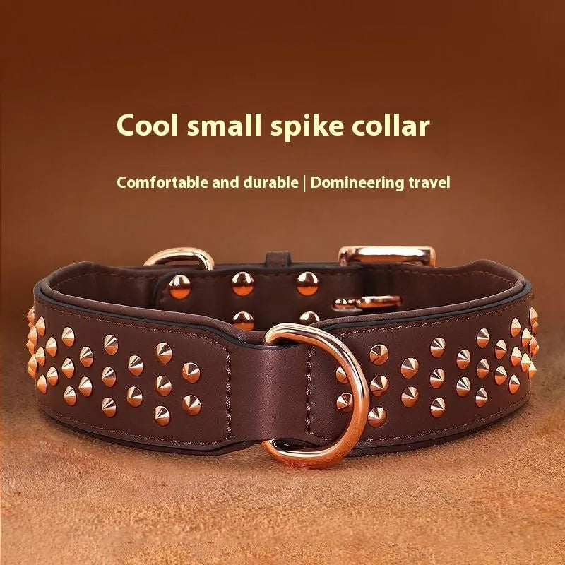 Leather dog collar with anti-bite rivets in chocolate colour showing adjustable buckle and rivet details