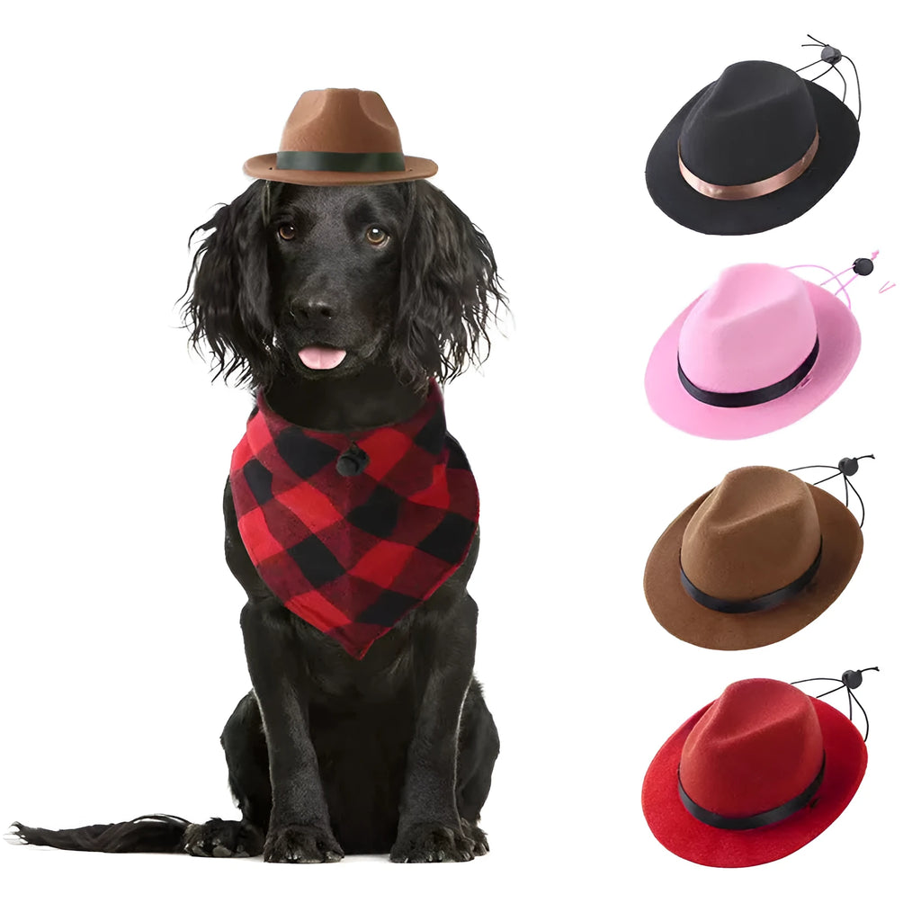 Small wool felt pet hat in monochrome colour with 15.5cm diameter for dogs and cats