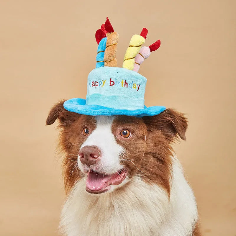 Blue and pink coloured toy birthday hat for dogs on a white background.