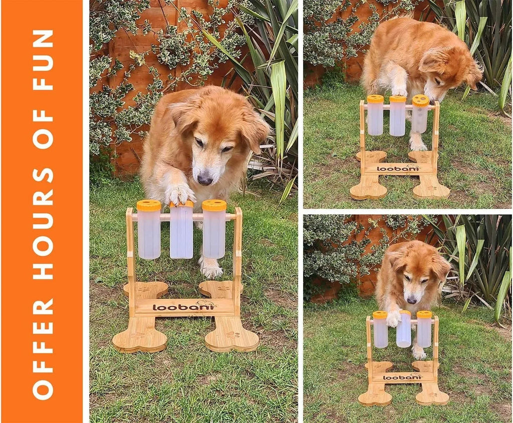 Natural wood colour interactive dog puzzle toy snack dispenser feeder on floor