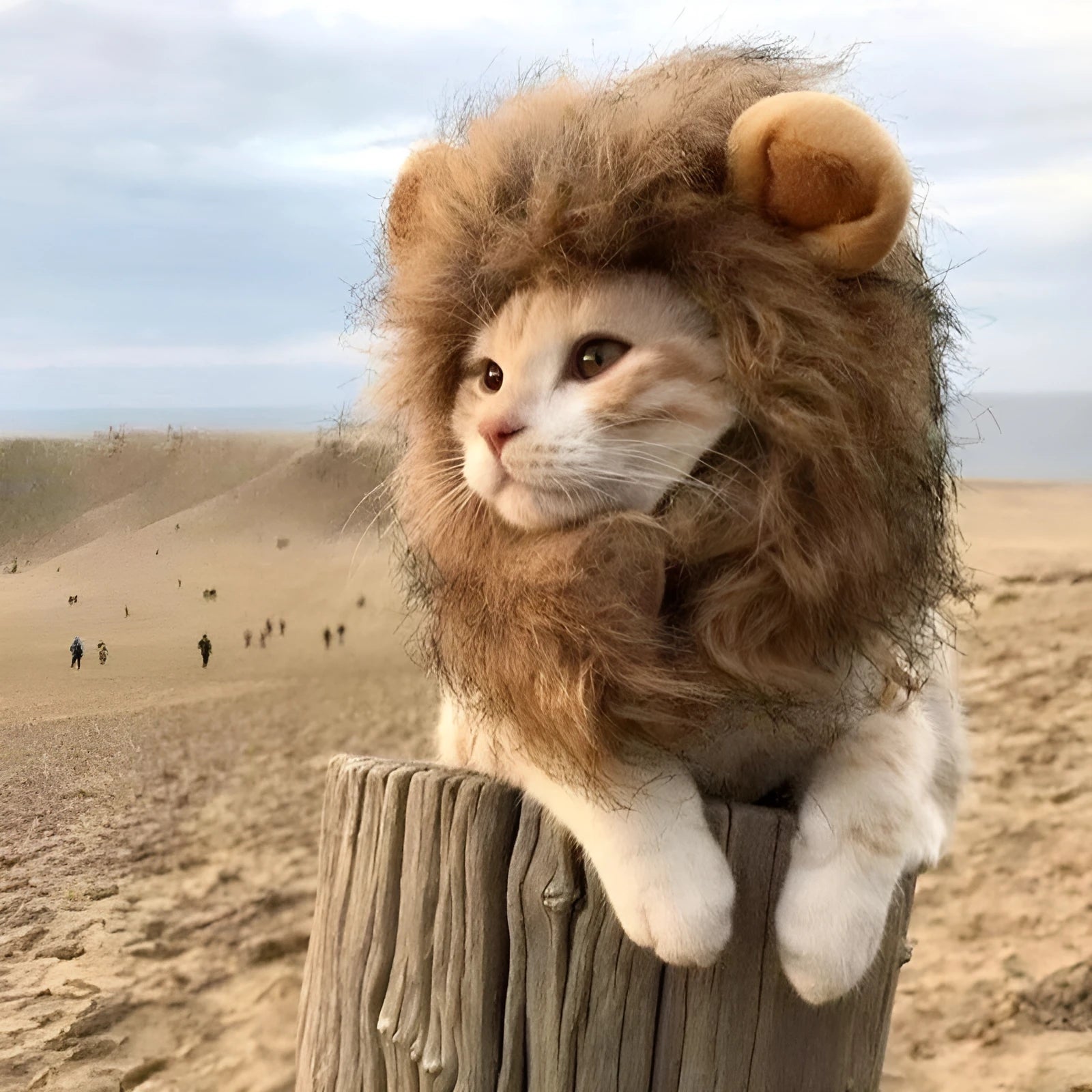 Lion mane wig accessory for cat with artificial hair and plush ears
