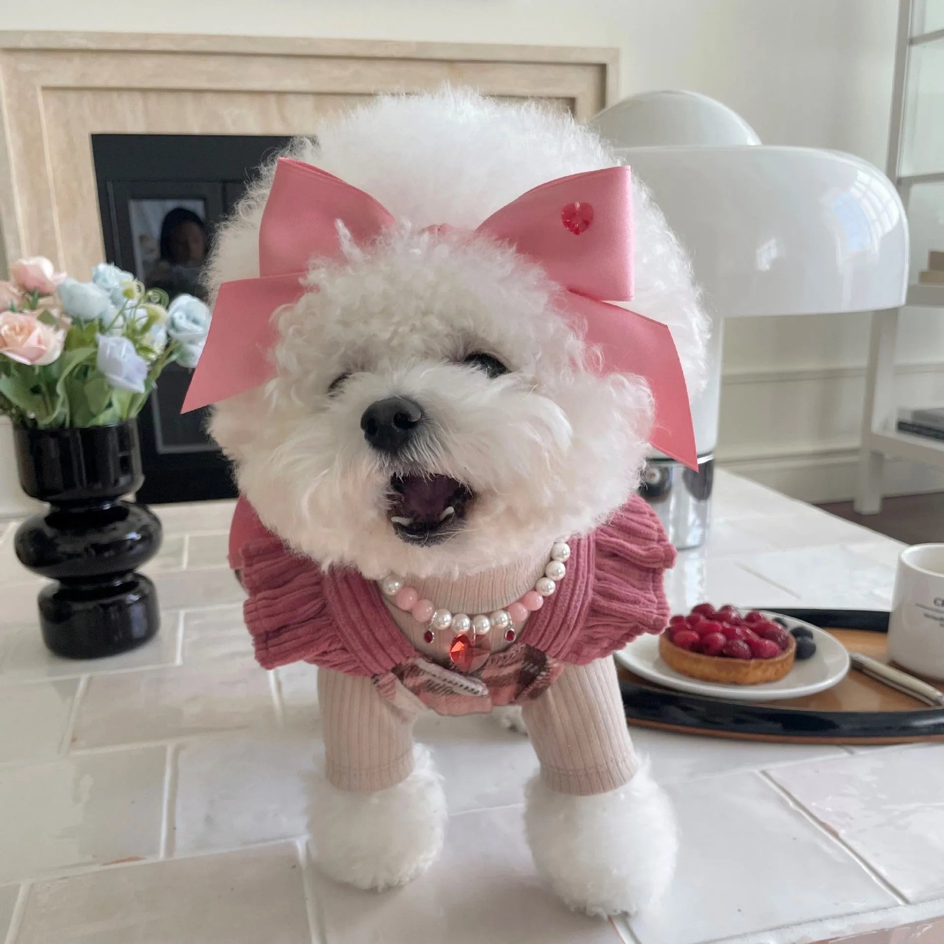 Princess style dog headdress hair band with adjustable bow tension on white background