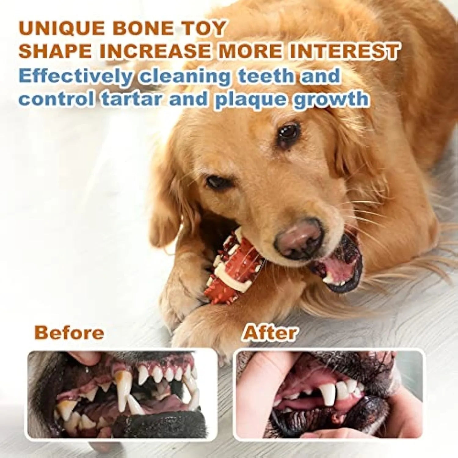Natural rubber bone-shaped dog dental chew toy in two sizes for teeth grinding