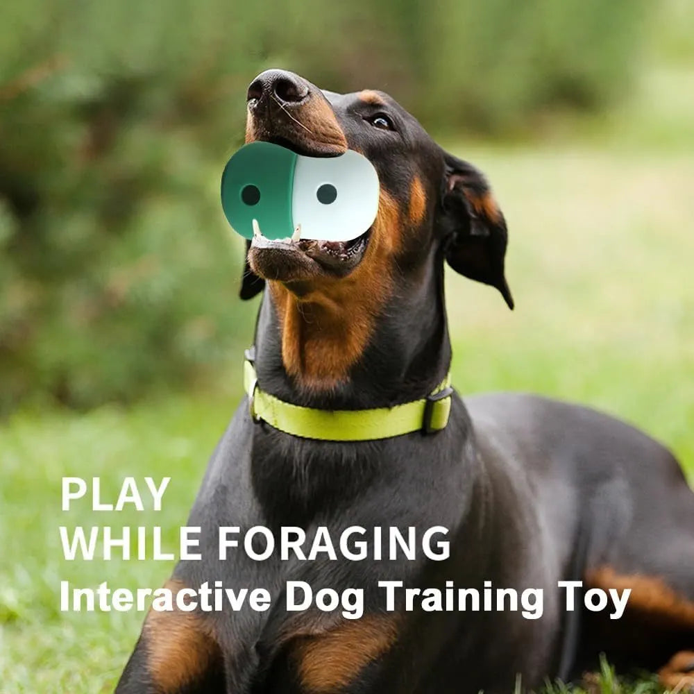 Colourful silicone dog treat puzzle ball shown in blue, green, and yellow, next to dog treats.