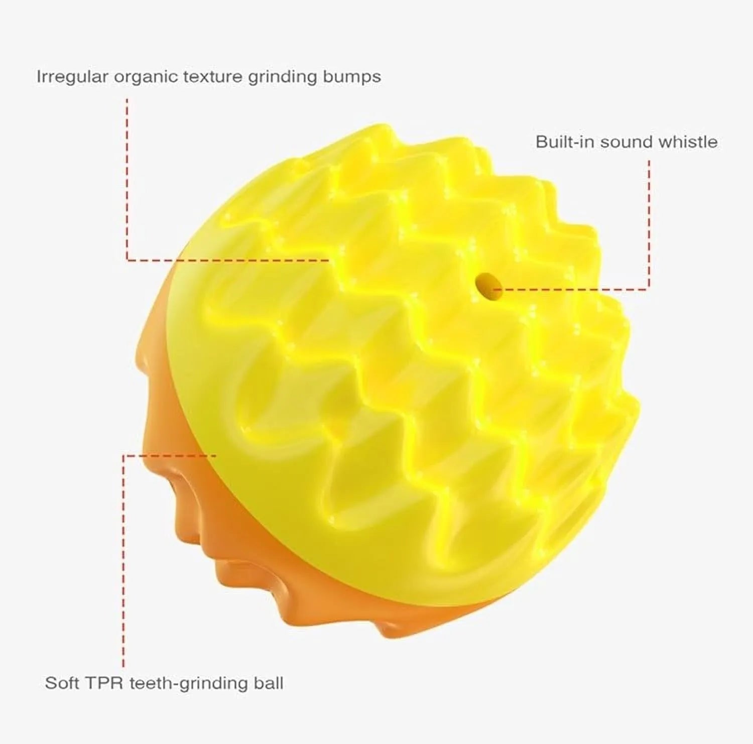 Blue squeaky dog ball toy with spiky texture for dental cleaning and water fetch