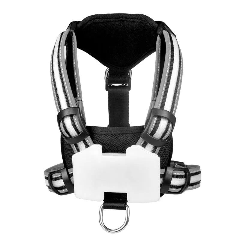 Nylon dog lead with illuminated seven-colour strap and charging cable for night walking