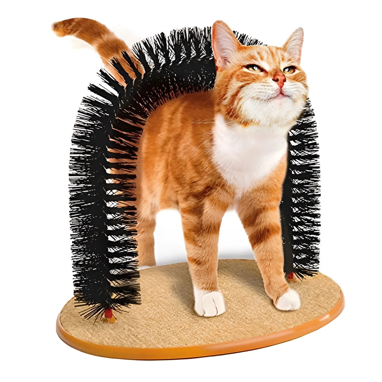 Arched plastic cat grooming station with built-in brush for scratching and rubbing