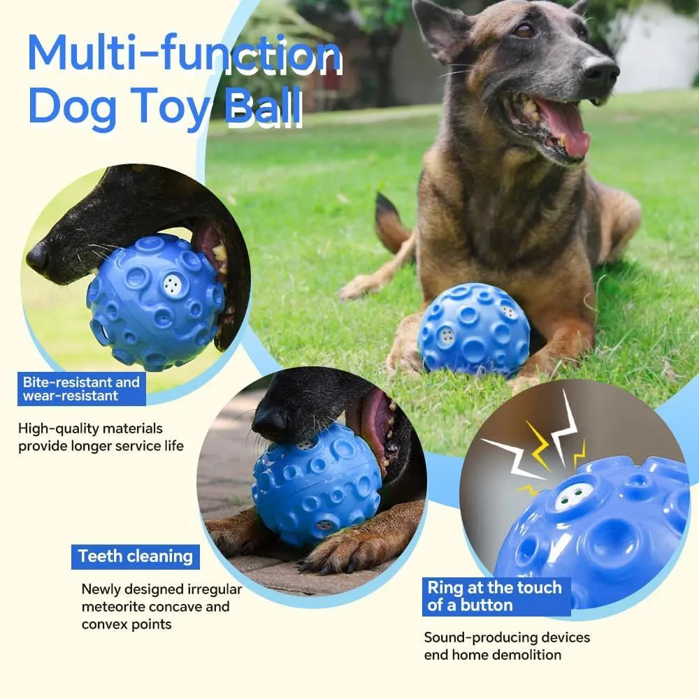 Coloured natural rubber dog toy ball with a bumpy texture for aggressive chewers and teeth cleaning