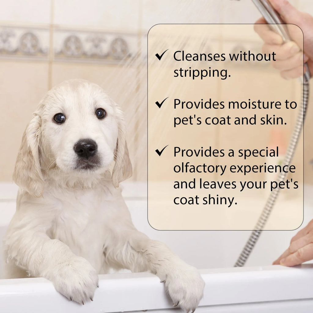 Bottle of mild dog shampoo for soft, tangle-free hair in 100ml and 300ml sizes.