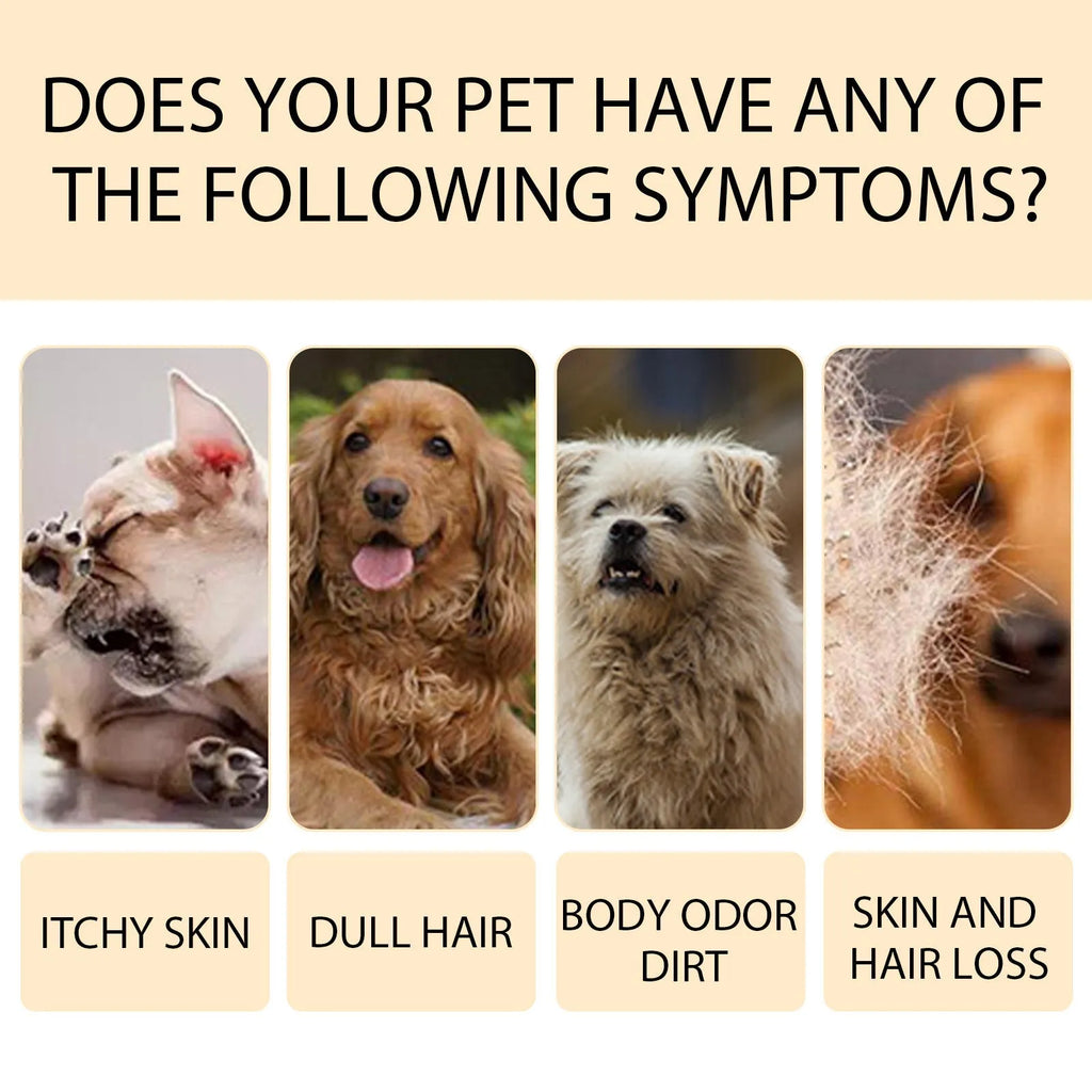 Bottle of mild dog shampoo for soft, tangle-free hair in 100ml and 300ml sizes.