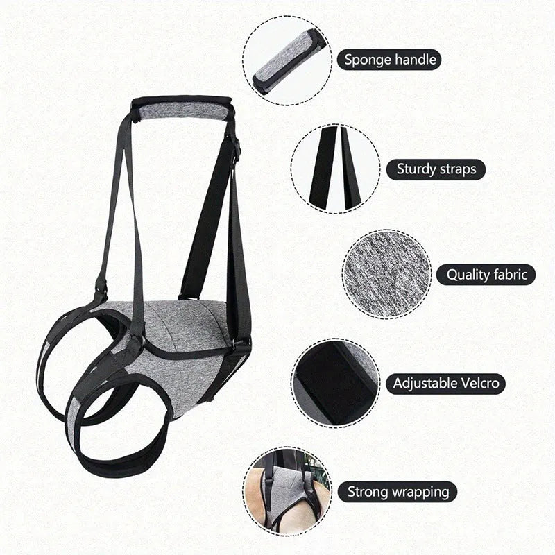 Grey neoprene dog recovery belt with adjustable waist and thigh straps for rear leg support