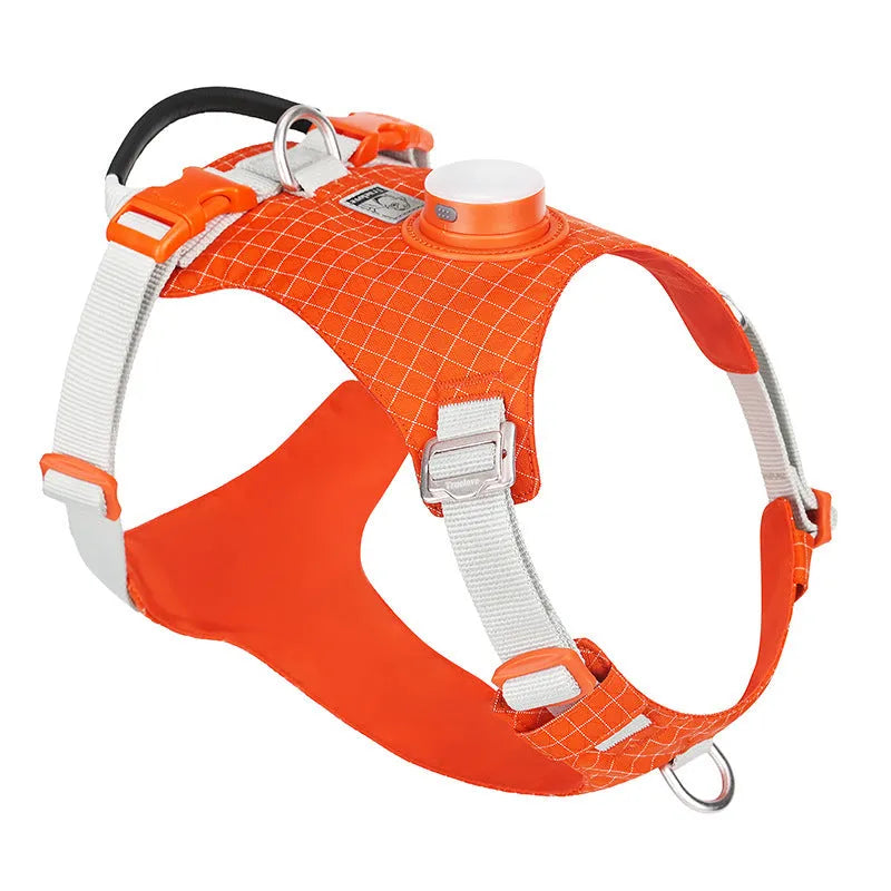 Nylon dog chest harness with LED light in six colour options including light purple and green